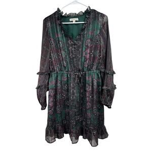 Frye & Co LS Floral Fit & Flare Button Front Dress Medium